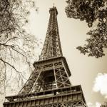 paryz_DSC_4202
